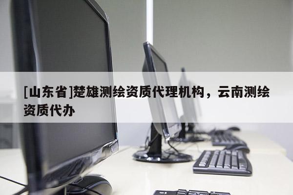 [山东省]楚雄测绘资质代理机构，云南测绘资质代办
