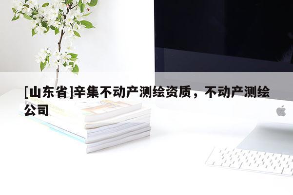 [山东省]辛集不动产测绘资质，不动产测绘公司
