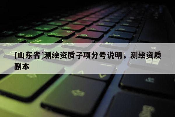 [山东省]测绘资质子项分号说明，测绘资质副本