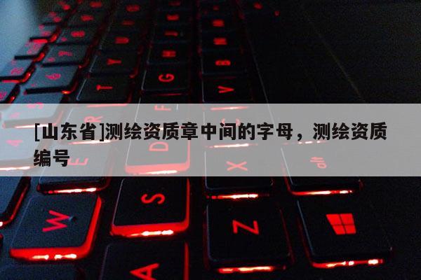[山东省]测绘资质章中间的字母，测绘资质编号