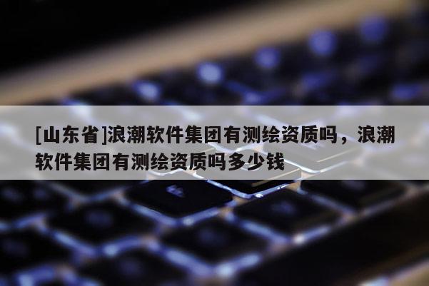 [山东省]浪潮软件集团有测绘资质吗，浪潮软件集团有测绘资质吗多少钱