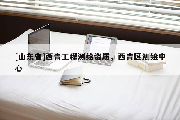 [山东省]西青工程测绘资质，西青区测绘中心
