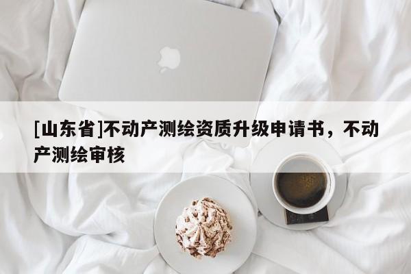[山东省]不动产测绘资质升级申请书，不动产测绘审核