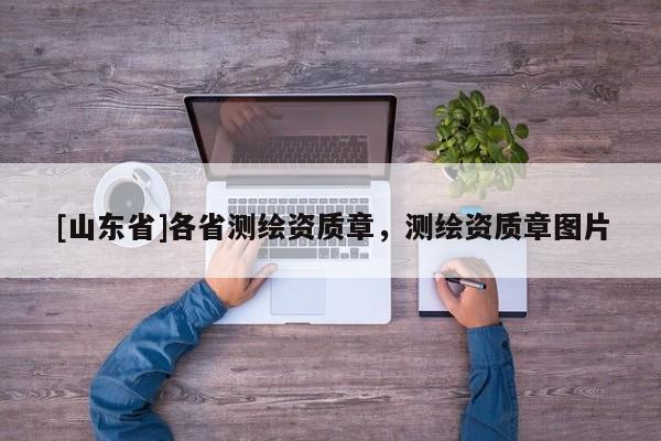 [山东省]各省测绘资质章，测绘资质章图片