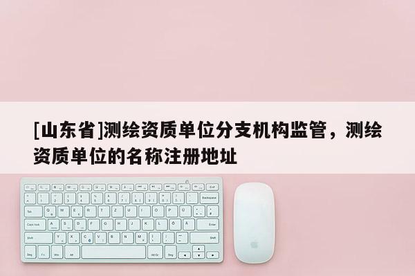 [山东省]测绘资质单位分支机构监管，测绘资质单位的名称注册地址