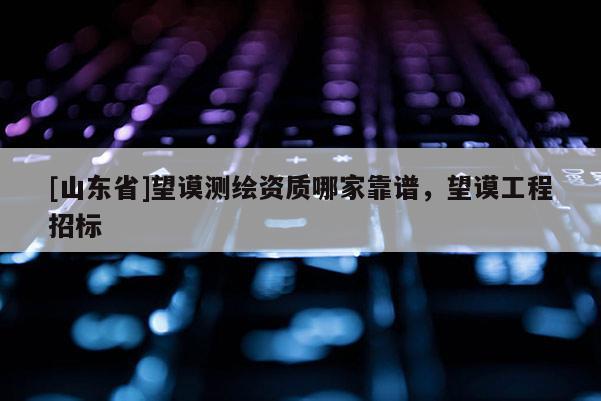 [山东省]望谟测绘资质哪家靠谱，望谟工程招标