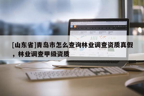 [山东省]青岛市怎么查询林业调查资质真假，林业调查甲级资质