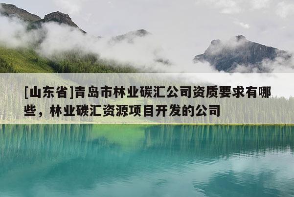 [山东省]青岛市林业碳汇公司资质要求有哪些，林业碳汇资源项目开发的公司